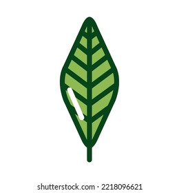 vector image plant icon green color with white background