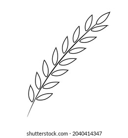 Vector image. Plant leaf drawn by a thin line. Black branch on a white background. Ideal template for design, print, art objects, print for textiles, postcards.