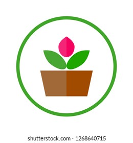 Vector image of a plant with a pink flower bud and green leaves in a pot. Simple graphic growing plant logo or icon.