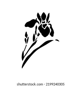 Imagen vectorial de una planta para un tatuaje. Flor de esténcil, botánica.