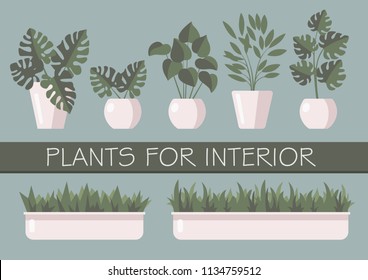 Vector image of plants on a blue background. The image is drawn in 2D style. Monotonous colors.