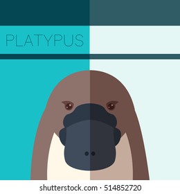 Vector image of the Platypus flat postcard