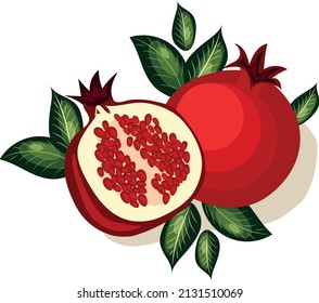Vektorbild eines Granatapfel. Granatapfel mit Blättern. Zwei Granaten. Granatapfel schneiden.