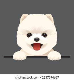 Imagen vectorial de un perro Pomerania. Perrito de corte