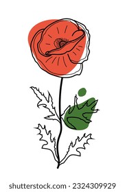 Vector image of a poppy flower in the style of doodles with color spots. Illustration of a flowering plant with leaves.