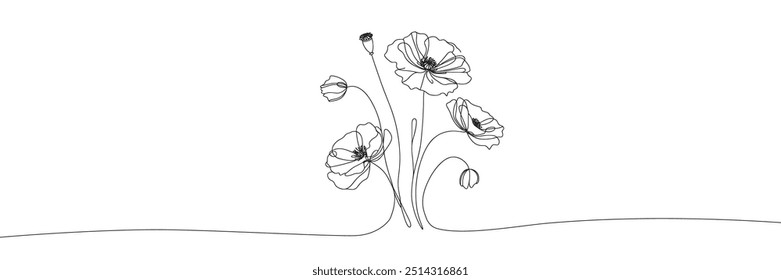 vector image of poppy flowers in single line style on white background 
