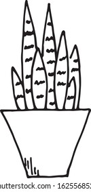 Vector image of a potted houseplant. Black and white line drawing