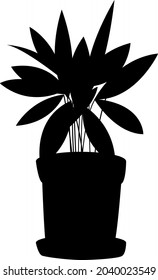 Imagen vectorial de una planta de una casa maceta, silueta negra aislada de flores sobre un fondo blanco. La silueta de una flor casera.