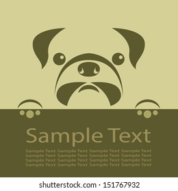 Vector image of an pug puppy .