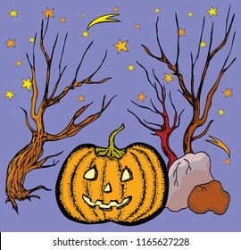 Vector image of a pumpkin in Halloween night