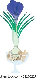 Vector image. Purple flower growing from a bulb. Crocus. Spring flowers. Can be used as print, postcard, label, packaging design, textiles, invitations, design elements and more.