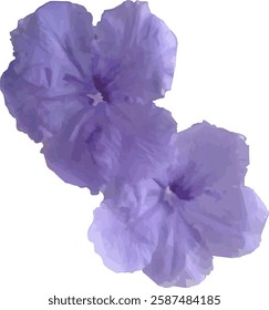 vector image of purple mexican petunia flower object, isolated on white background