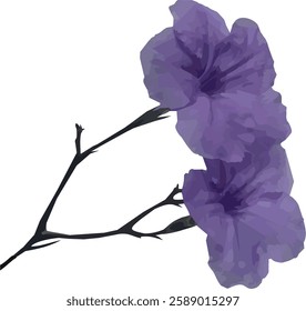 vector image of purple mexican petunia flower object, isolated on white background