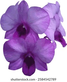 vector image of a purple orchid flower on a white background
