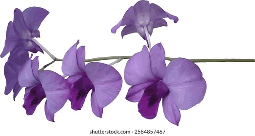 vector image of a purple orchid flower on a white background
