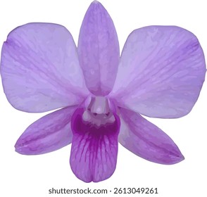 vector image of a purple orchid flower on a white background