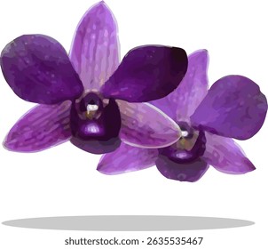 vector image of a purple orchid flower on a white background