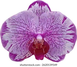 imagem vetorial de uma flor de orquídea violeta roxa sobre um fundo branco
