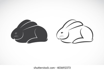 Vector image of an rabbit design on white background