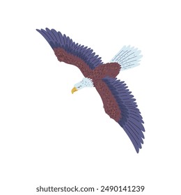 The vector image of a rapidly flying bald eagle with wings, beak and tail standing out against a pure white background is ideal for images of travel and nature