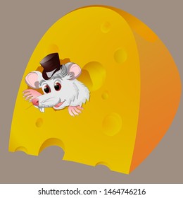 vector image of a rat mink bitten in a slice of cheese