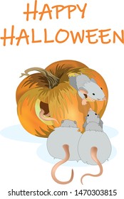 Vector image of an rat with pumpkin