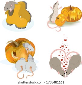 Vector image of a rat and its relationship with relatives. Set of four pictures made by you cartoon style.	