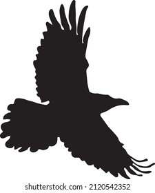 Vector Image Raven Flight Created By Stock Vector (Royalty Free ...