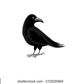 Vector image of a raven profile isolated on the white background