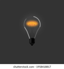 vector image of real light bulb