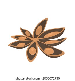 La imagen vectorial de un anís realista sobre un fondo blanco está aislada.