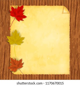 Vector image of a realistic autumnal, maple leaf on an old paper that is on a wooden background.