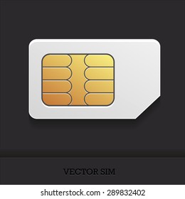the vector image of a realistic sim card with the chip for cellular mobile communication