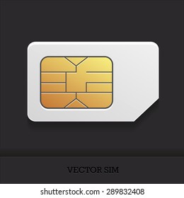 the vector image of a realistic sim card with the chip for cellular mobile communication