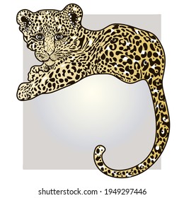 Vector image of a reclining leopard for postcards and printing. A cute leopard cub, in black, white and beige, lies and watches.