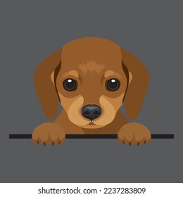 Vector image of a red Dachshund dog. Cute puppy