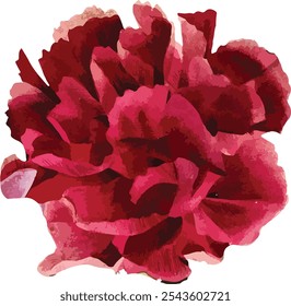 
vector image of red flowers blooming