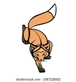 Vector image of red Fox