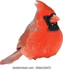 Vector Image of a Red Male Northern Cardinal Bird 