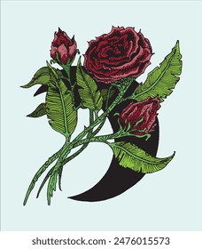 Vector image of red rose flower