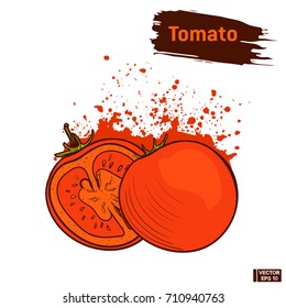 Vector image. Red tomato, colors in hand drawing style. Splashes and blots colors sketch of a vegetable