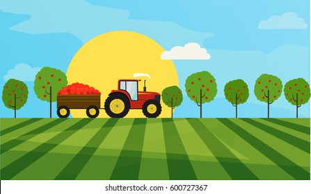 Vector image of a red tractor in a field in the background of the sun