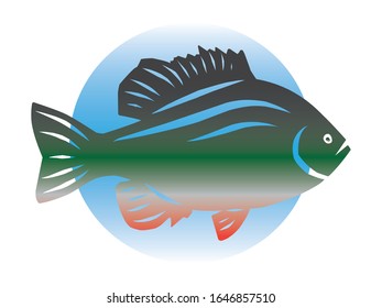 Vector Image Of A Redear Sunfish