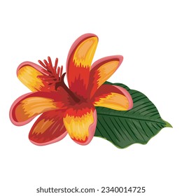 vector image of red-yellow lilium flower