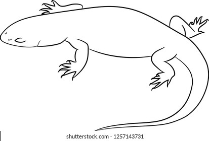 
Vector image of a reptile Varan Cape