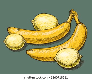 Vector image of ripe bananas and lemons