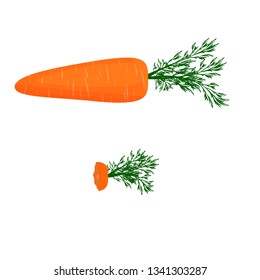Vector image of ripe carrots with green leaves. The rest eaten carrots. Isolated on white background.
