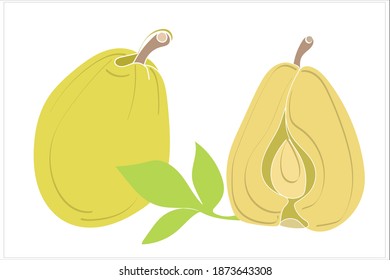 Vector image of an ripe pear.Black and white and color graphics.Sketch on a white and colored background.