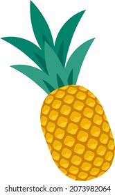 Vector image of a ripe pineapple isolated on the white background with the green leaves.