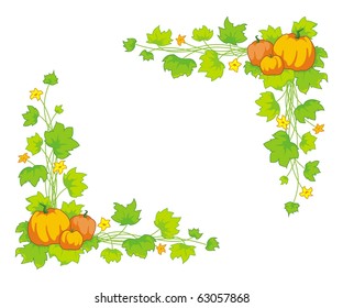 Vector image of a ripe pumpkin with green leaves on a white background
